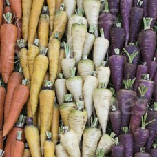 Carrot Mixture